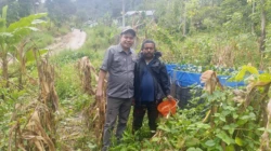 Panen Perdana Lele Bioflok di TTS, Program Pokir DPRD Dorong Ekonomi Warga