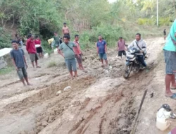 Warga Santian TTS Keluhkan Jalan Berlumpur di Desa Manufui, Akses Utama Terhambat
