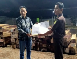 WALHI NTT Desak Polisi Usut Dugaan Penebangan dan Peredaran Kayu Sonokeling di TTU