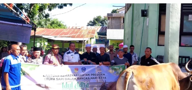 sapi presiden TTU