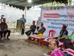 Ratusan Petani Muda Flores Timur Rampungkan Magang Agribisnis di TTS,  Perkuat Ketahanan Pangan NTT