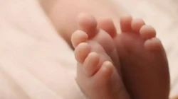 Orok Bayi Laki-laki Ditemukan dalam Kondisi Memprihatinkan di TTS, Polisi Lakukan Penyelidikan