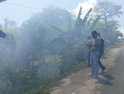 kebakaran hutan di TTU