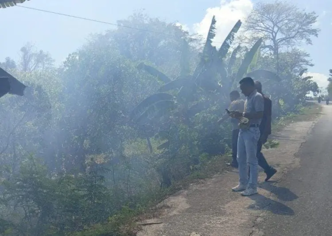 kebakaran hutan di TTU